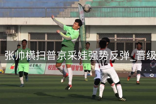 张帅横扫普京采娃强势反弹 晋级WTA多伦多站次轮