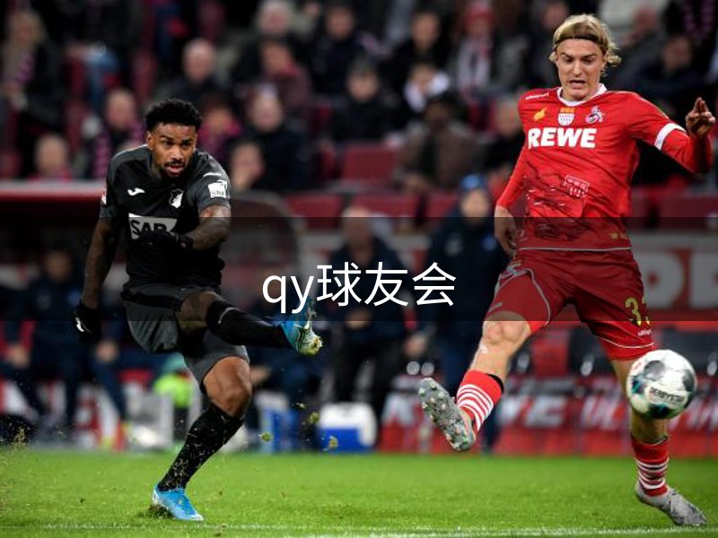 qy球友会简介